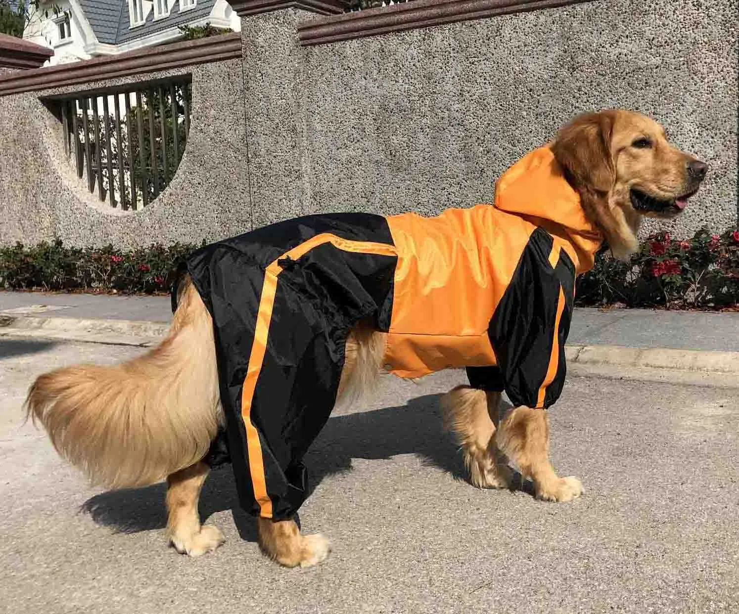 Dog Raincoat