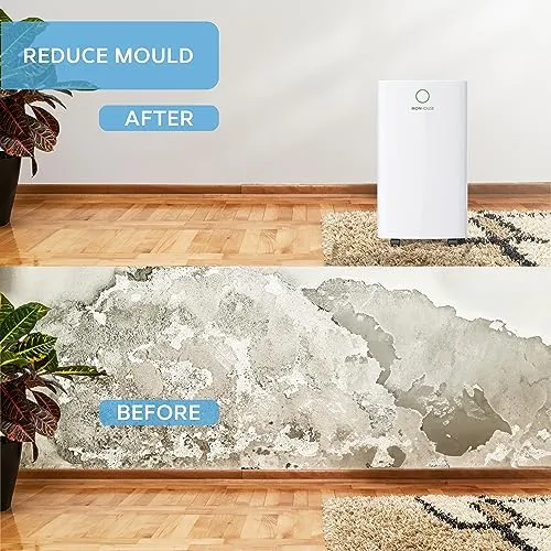 MONHOUSE 25L/Day Digital Dehumidifier - Large 4L Tank (New)